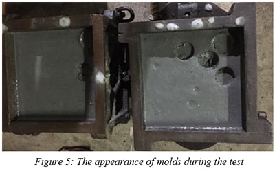 The appearance of molds during the test